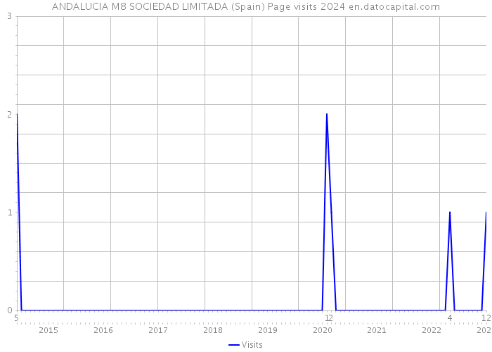 ANDALUCIA M8 SOCIEDAD LIMITADA (Spain) Page visits 2024 
