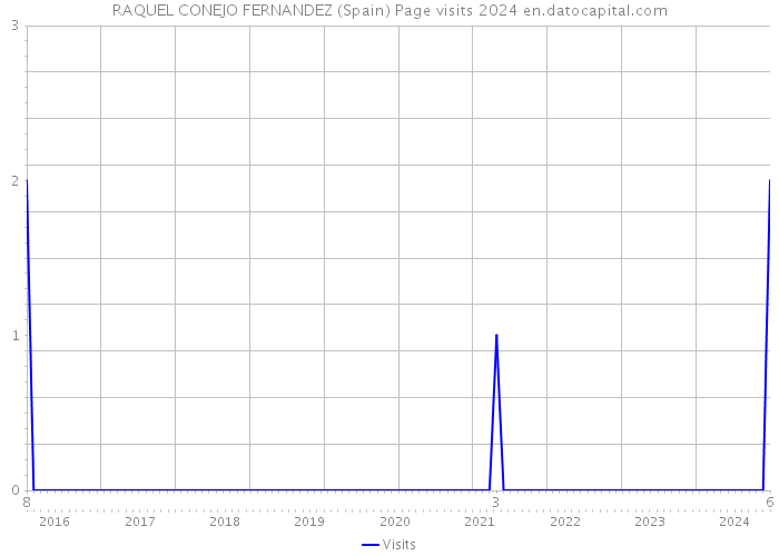 RAQUEL CONEJO FERNANDEZ (Spain) Page visits 2024 