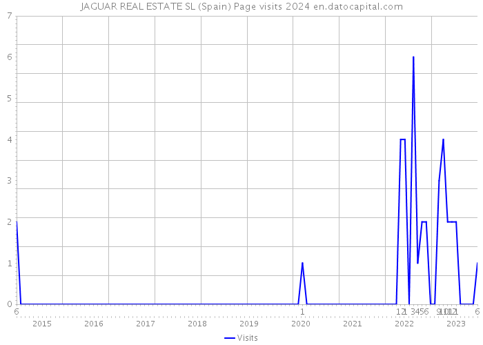 JAGUAR REAL ESTATE SL (Spain) Page visits 2024 