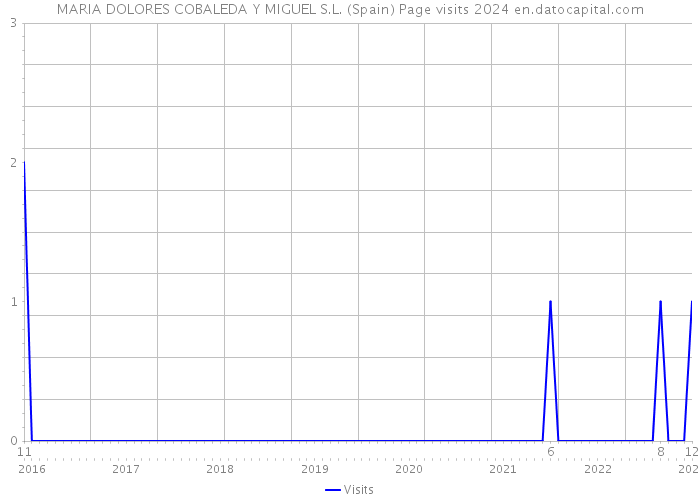 MARIA DOLORES COBALEDA Y MIGUEL S.L. (Spain) Page visits 2024 