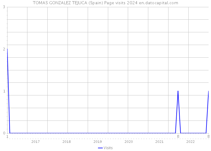 TOMAS GONZALEZ TEJUCA (Spain) Page visits 2024 