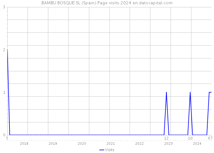 BAMBU BOSQUE SL (Spain) Page visits 2024 