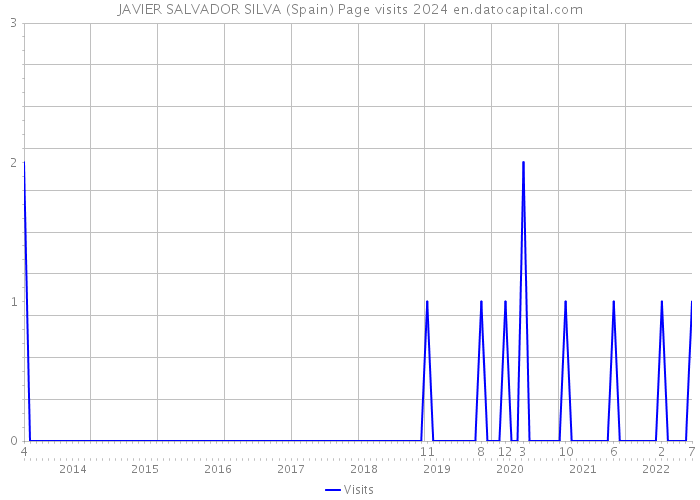 JAVIER SALVADOR SILVA (Spain) Page visits 2024 
