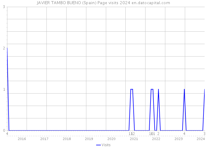 JAVIER TAMBO BUENO (Spain) Page visits 2024 