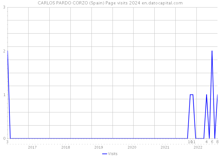CARLOS PARDO CORZO (Spain) Page visits 2024 
