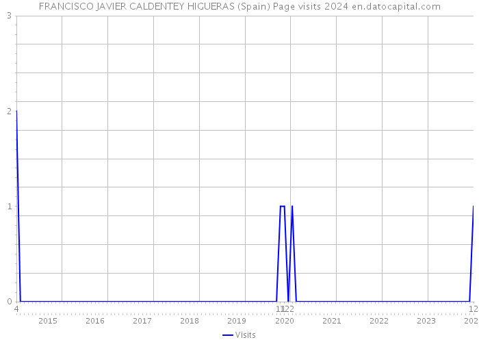 FRANCISCO JAVIER CALDENTEY HIGUERAS (Spain) Page visits 2024 