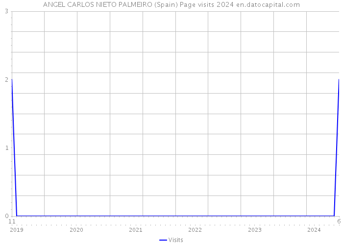 ANGEL CARLOS NIETO PALMEIRO (Spain) Page visits 2024 