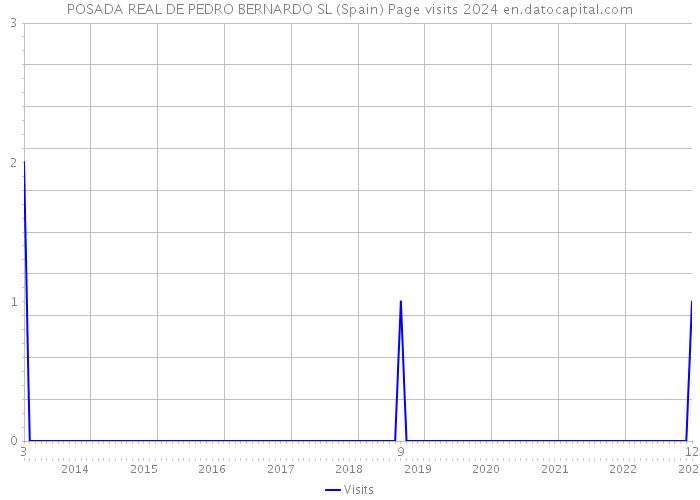 POSADA REAL DE PEDRO BERNARDO SL (Spain) Page visits 2024 