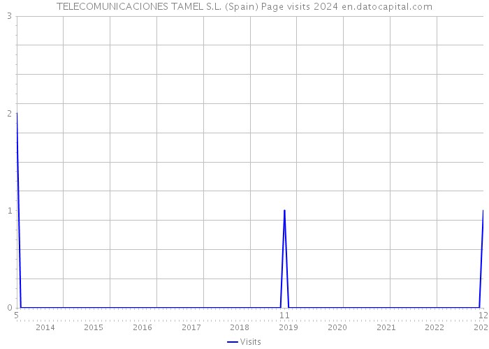 TELECOMUNICACIONES TAMEL S.L. (Spain) Page visits 2024 