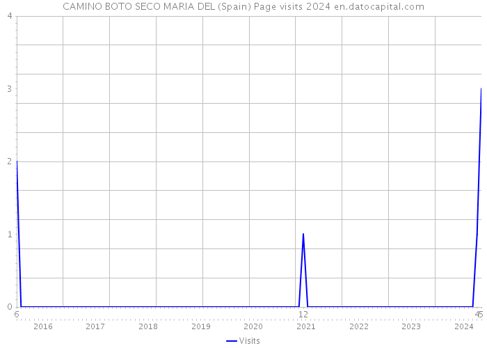CAMINO BOTO SECO MARIA DEL (Spain) Page visits 2024 