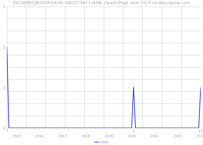 ESCUDERO BOCOS DAVID 0002278471 SLNE. (Spain) Page visits 2024 