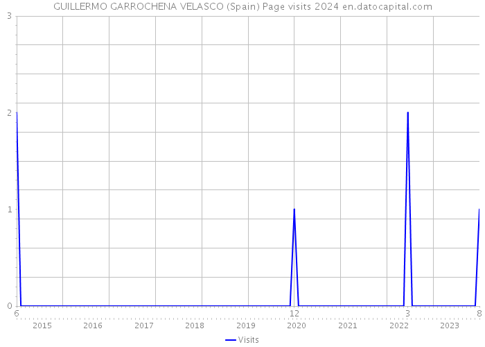 GUILLERMO GARROCHENA VELASCO (Spain) Page visits 2024 