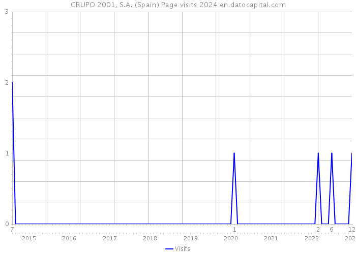 GRUPO 2001, S.A. (Spain) Page visits 2024 