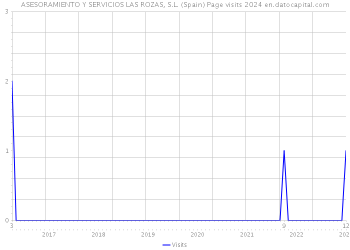 ASESORAMIENTO Y SERVICIOS LAS ROZAS, S.L. (Spain) Page visits 2024 