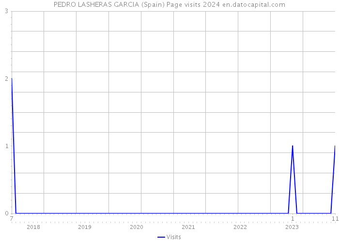 PEDRO LASHERAS GARCIA (Spain) Page visits 2024 