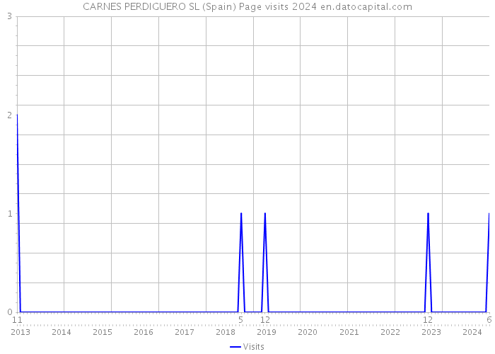 CARNES PERDIGUERO SL (Spain) Page visits 2024 