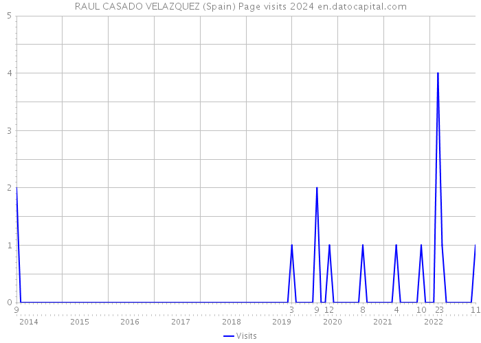 RAUL CASADO VELAZQUEZ (Spain) Page visits 2024 