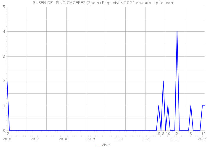 RUBEN DEL PINO CACERES (Spain) Page visits 2024 