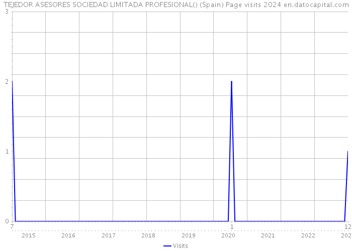 TEJEDOR ASESORES SOCIEDAD LIMITADA PROFESIONAL() (Spain) Page visits 2024 