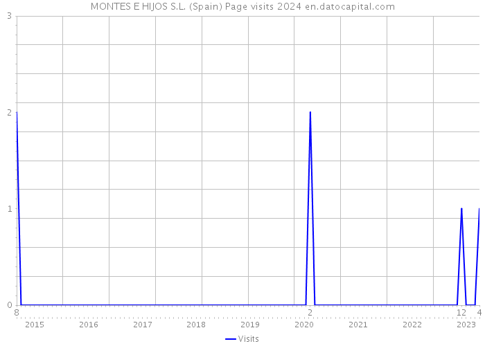 MONTES E HIJOS S.L. (Spain) Page visits 2024 