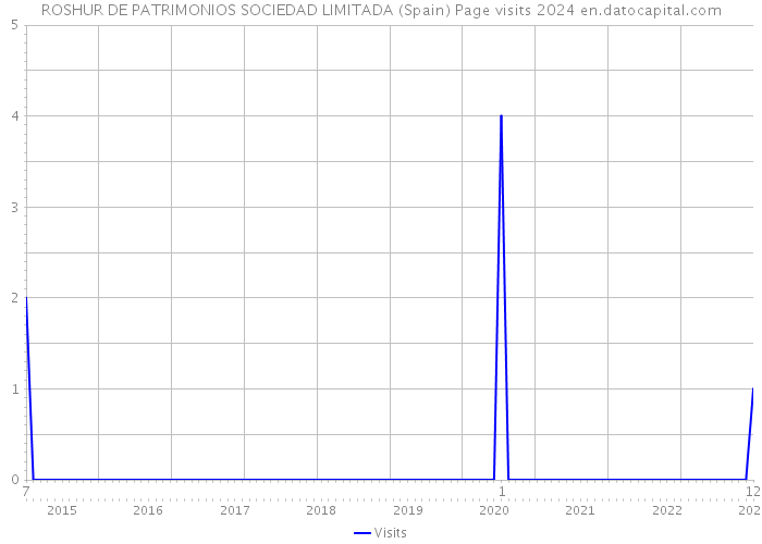ROSHUR DE PATRIMONIOS SOCIEDAD LIMITADA (Spain) Page visits 2024 