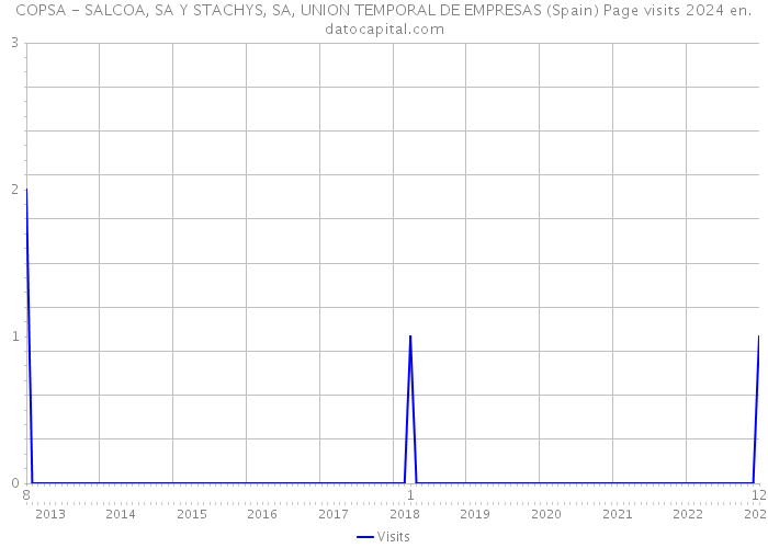 COPSA - SALCOA, SA Y STACHYS, SA, UNION TEMPORAL DE EMPRESAS (Spain) Page visits 2024 