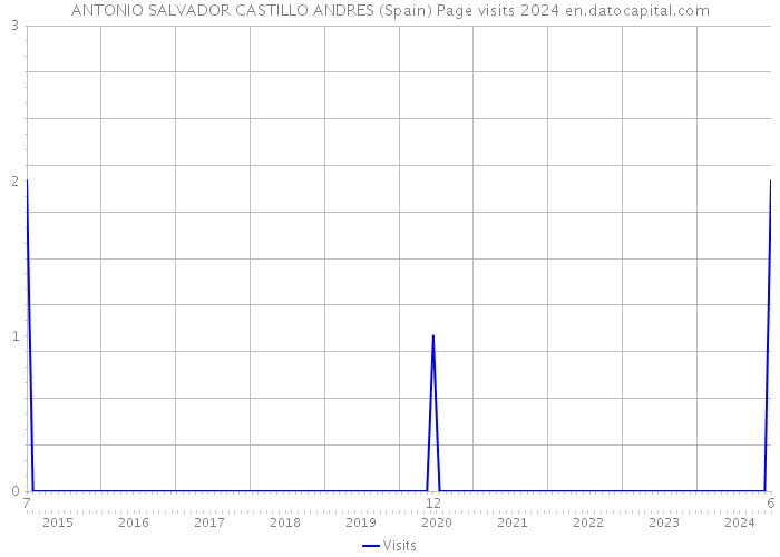 ANTONIO SALVADOR CASTILLO ANDRES (Spain) Page visits 2024 
