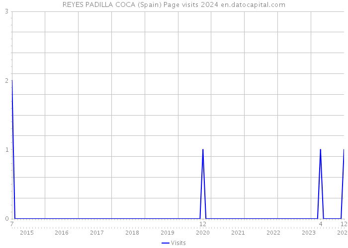 REYES PADILLA COCA (Spain) Page visits 2024 