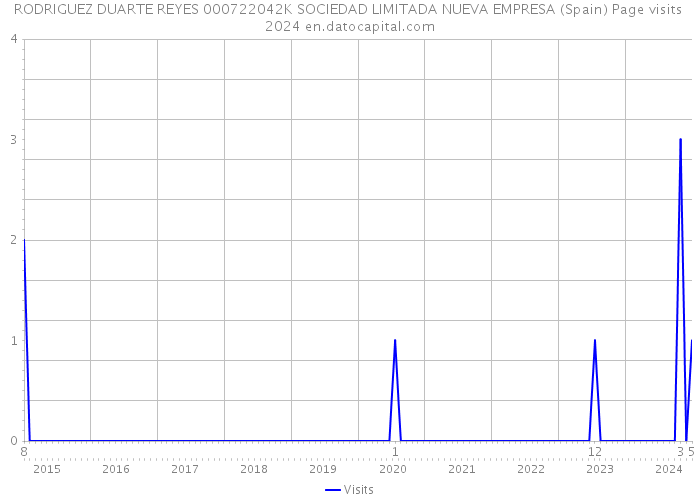 RODRIGUEZ DUARTE REYES 000722042K SOCIEDAD LIMITADA NUEVA EMPRESA (Spain) Page visits 2024 