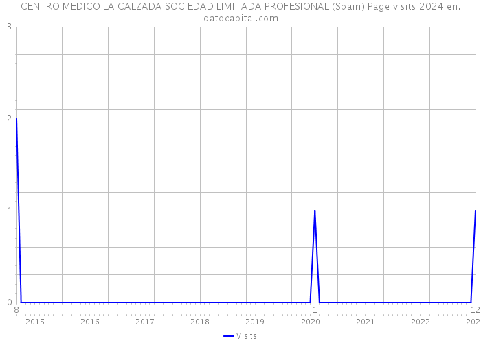 CENTRO MEDICO LA CALZADA SOCIEDAD LIMITADA PROFESIONAL (Spain) Page visits 2024 