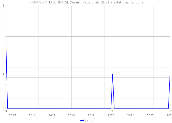 PRAXIS CONSULTING SL (Spain) Page visits 2024 