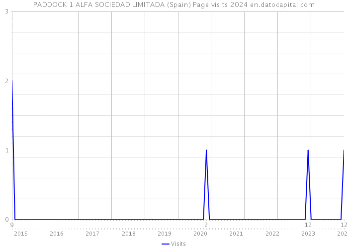 PADDOCK 1 ALFA SOCIEDAD LIMITADA (Spain) Page visits 2024 