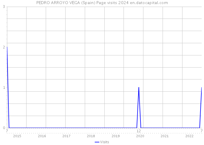 PEDRO ARROYO VEGA (Spain) Page visits 2024 