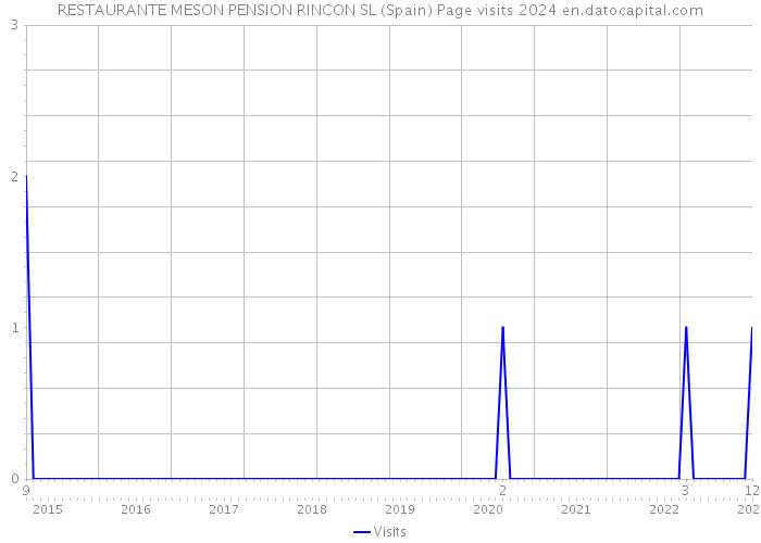 RESTAURANTE MESON PENSION RINCON SL (Spain) Page visits 2024 