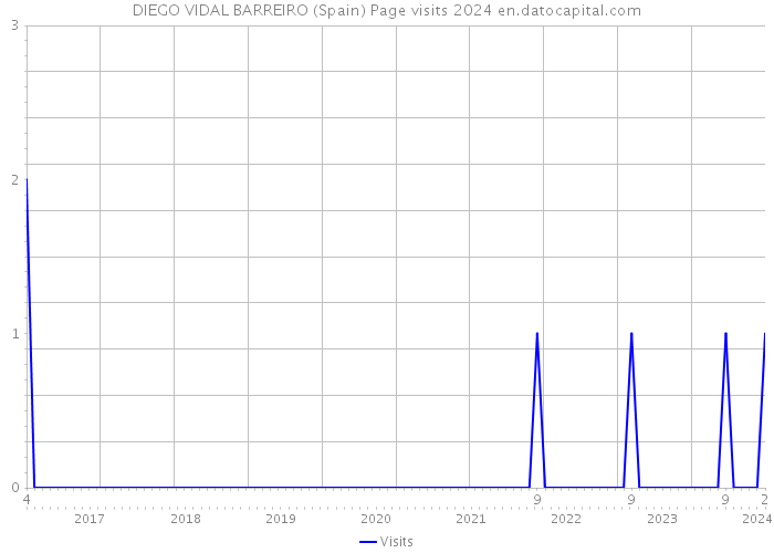 DIEGO VIDAL BARREIRO (Spain) Page visits 2024 