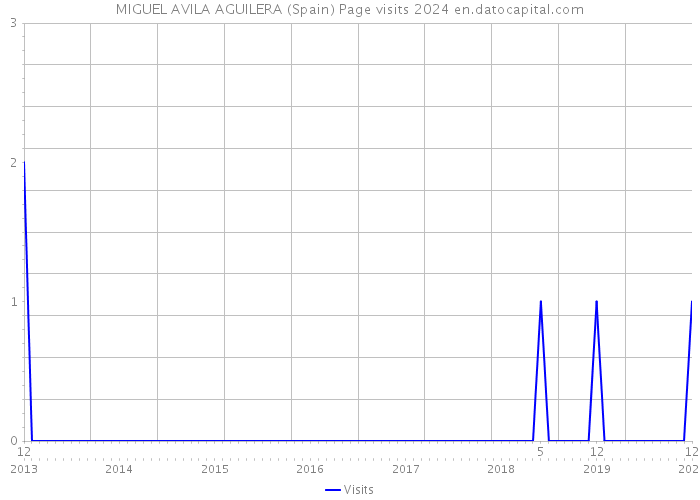 MIGUEL AVILA AGUILERA (Spain) Page visits 2024 