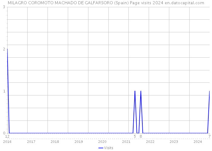 MILAGRO COROMOTO MACHADO DE GALFARSORO (Spain) Page visits 2024 