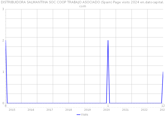 DISTRIBUIDORA SALMANTINA SOC COOP TRABAJO ASOCIADO (Spain) Page visits 2024 