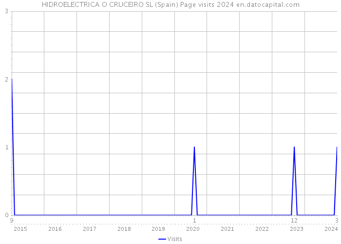 HIDROELECTRICA O CRUCEIRO SL (Spain) Page visits 2024 