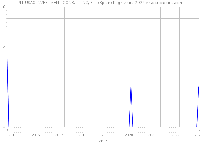 PITIUSAS INVESTMENT CONSULTING, S.L. (Spain) Page visits 2024 