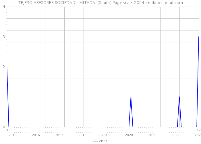 TEJERO ASESORES SOCIEDAD LIMITADA. (Spain) Page visits 2024 