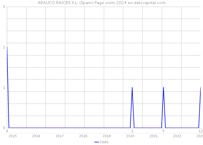 ARAUCO RAICES S.L. (Spain) Page visits 2024 
