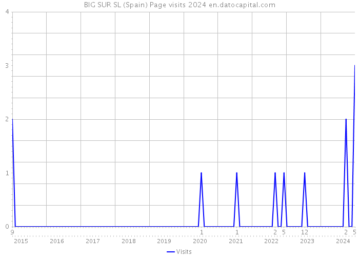 BIG SUR SL (Spain) Page visits 2024 