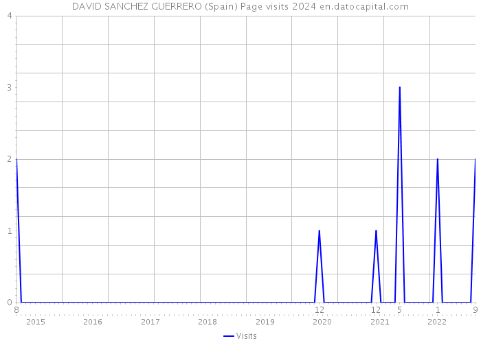 DAVID SANCHEZ GUERRERO (Spain) Page visits 2024 