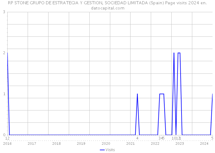 RP STONE GRUPO DE ESTRATEGIA Y GESTION, SOCIEDAD LIMITADA (Spain) Page visits 2024 