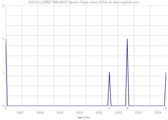 ROCIO LOPEZ TERCERO (Spain) Page visits 2024 