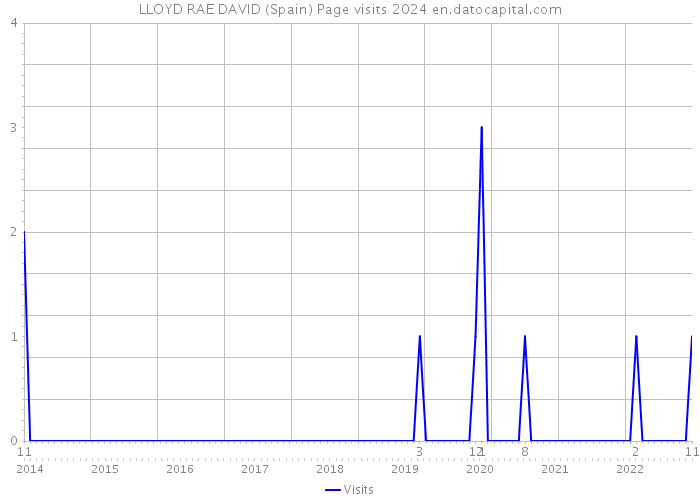 LLOYD RAE DAVID (Spain) Page visits 2024 