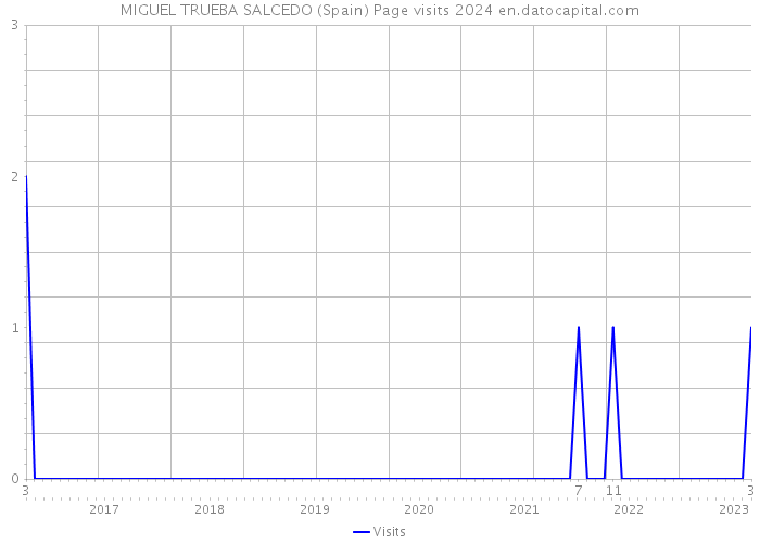 MIGUEL TRUEBA SALCEDO (Spain) Page visits 2024 