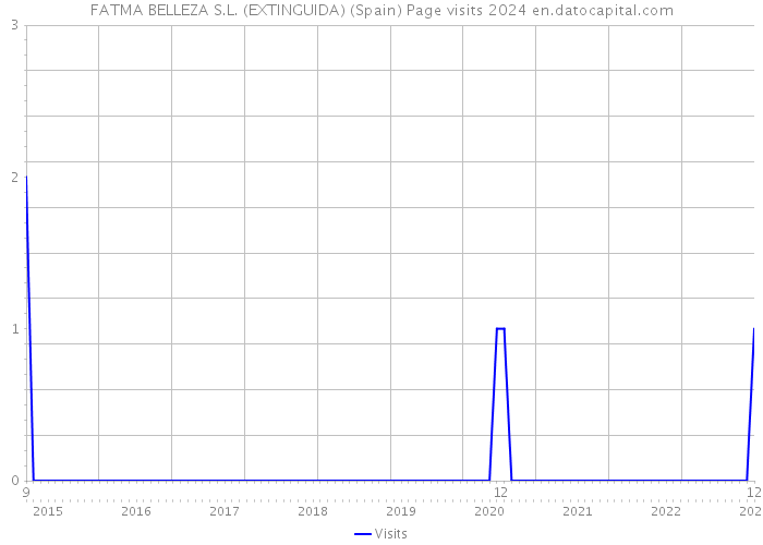 FATMA BELLEZA S.L. (EXTINGUIDA) (Spain) Page visits 2024 