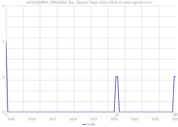 LAVANDERIA GRANADA SLL. (Spain) Page visits 2024 